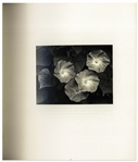 Ansel Adams Signed First Edition of ''Singular Images''